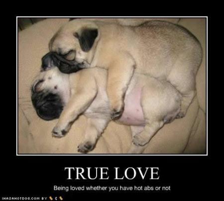 cute-puppy-pictures-true-love